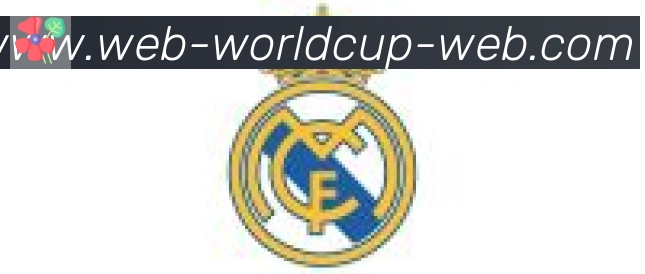 FIFA世界杯买球入口合作伙伴
